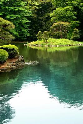 Read Zen Lake in Tokyo Garden Japan Journal: 150 Page Lined Notebook/Diary -  file in PDF