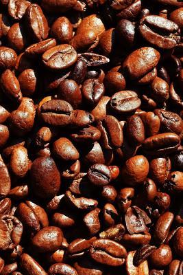 Read Online Website Password Organizer Freshly Roasted Coffee Beans: Password/Login/Website Keeper/Organizer Never Worry about Forgetting Your Website Password or Login Again! -  | ePub