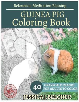 Read Online Guinea Pig Coloring Book for Adults Relaxation Meditation Blessing: Animal Coloring Book, Sketch Books, Relaxation Meditation, Adult Coloring Books - Jessica Belcher | PDF