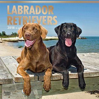 Full Download Labrador Retrievers 2018 12 x 12 Inch Monthly Square Wall Calendar with Foil Stamped Cover, Animals Dog Breeds Retriever (English, French and Spanish Edition) -  | ePub