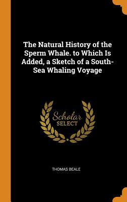 Full Download The Natural History of the Sperm Whale. to Which Is Added, a Sketch of a South-Sea Whaling Voyage - Thomas Beale | ePub