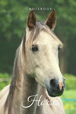 Full Download Horses notebook: (6x9) graphpaper 108 pages for journal notes diary white horse -  file in PDF