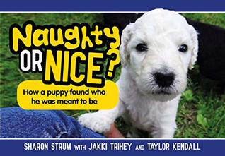 Read Online Naughty or Nice?: How a puppy found who he was meant to be (Bentley's Adventures Book 1) - Sharon Strum | PDF